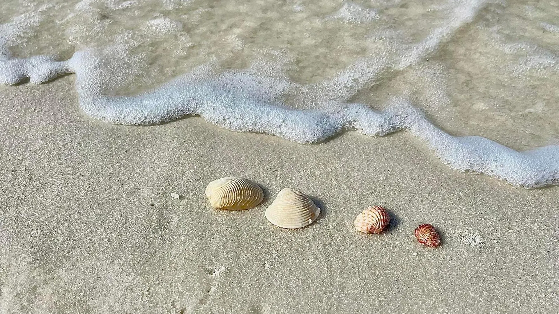 Sand Dollar Holler-Pool-Close To Beach And Shops! Βίλα Panama City Beach